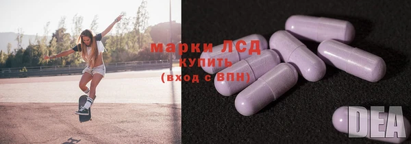 гашик Костерёво