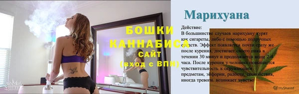 бошки Белокуриха