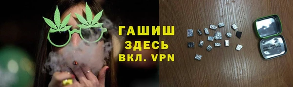 гашик Костерёво