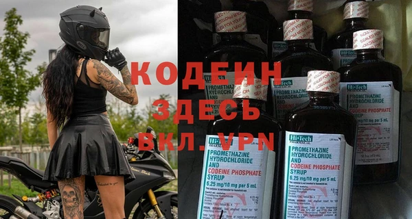 прущие грибы Беломорск