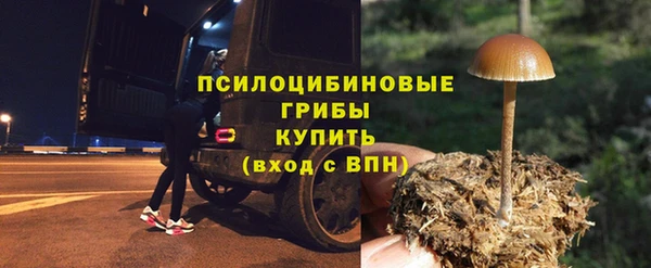 гашиш Богданович