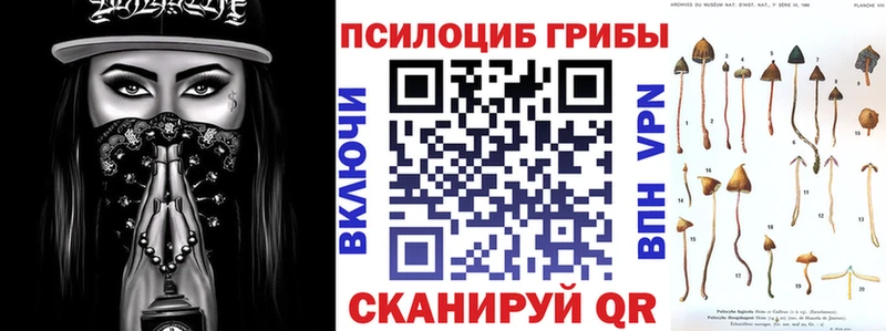 Купить закладки  Долгопрудный  Псилоцибиновые грибы MAGIC MUSHROOMS 